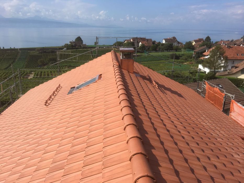 expertise du bois couverture Pillonel